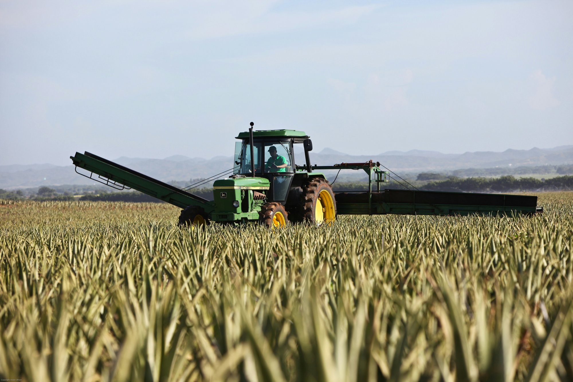 Agriculture Industry